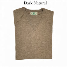 Load image into Gallery viewer, Men's Sweatshirt in NEUTRALS