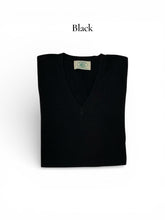 Load image into Gallery viewer, Donald V-Neck Cashmere/Silk