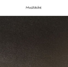 Load image into Gallery viewer, Men's V-Neck Pullover NEUTRALS