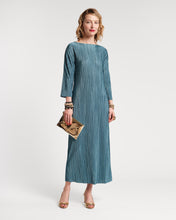 Load image into Gallery viewer, Slinky Pleated Maxi Dress
