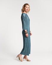 Load image into Gallery viewer, Slinky Pleated Maxi Dress