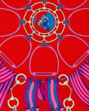 Load image into Gallery viewer, Stirrups Cashmere Printed Scarf