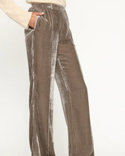 Load image into Gallery viewer, Tama Silk Velvet Pant