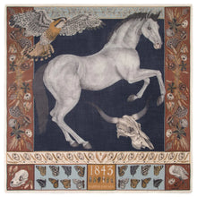 Load image into Gallery viewer, Texas Stallion Cashmere Scarf