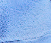 Load image into Gallery viewer, Lauren Crop Faux Fur Vest
