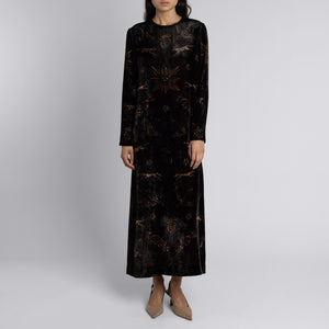 Secrets of the Bison Silk Velvet Dress PRE-ORDER NOW