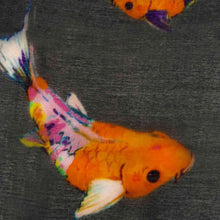 Load image into Gallery viewer, Koi Handprinted Cashmere Scarf
