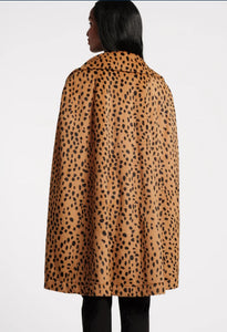 Preston Cape